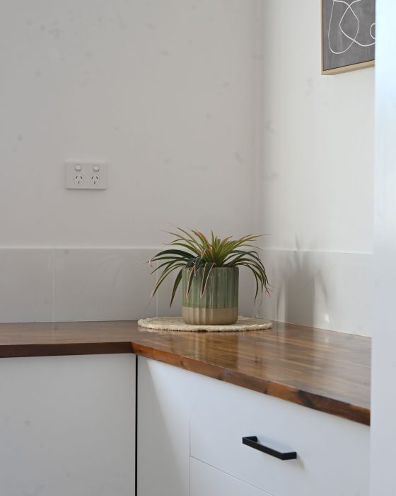 The plant is in a two-toned ceramic pot, green on the top half and natural beige on the bottom.