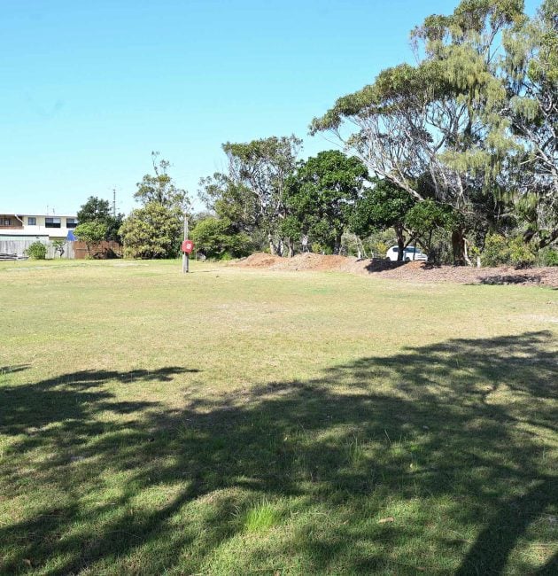 A wide, open, slightly dry, grassy field or park on a sunny day.