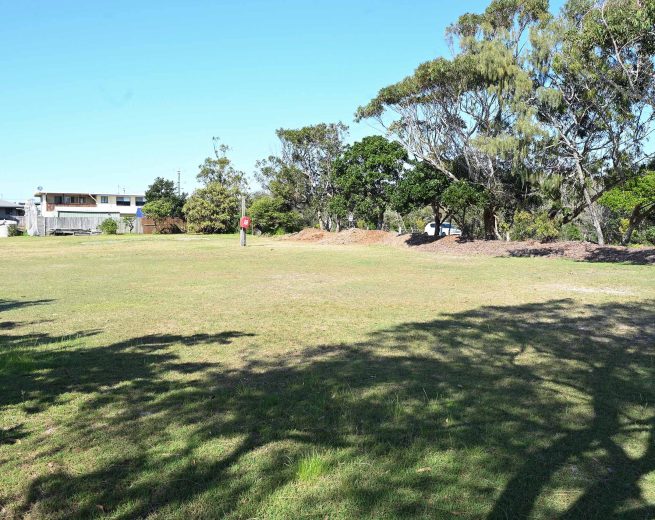 A wide, open, slightly dry, grassy field or park on a sunny day.