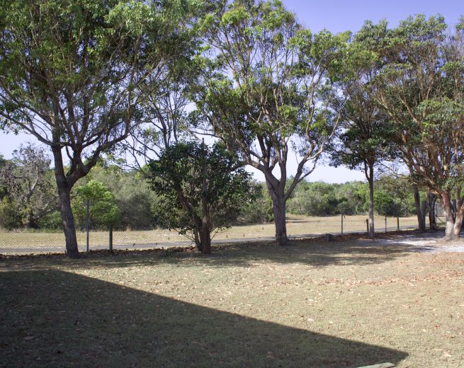 A flat, grassy yard shaded by several tall, leafy trees.